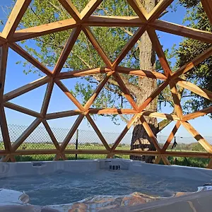 De Charme Et Pres D'albi , Au Mas De Bel Air Arthes